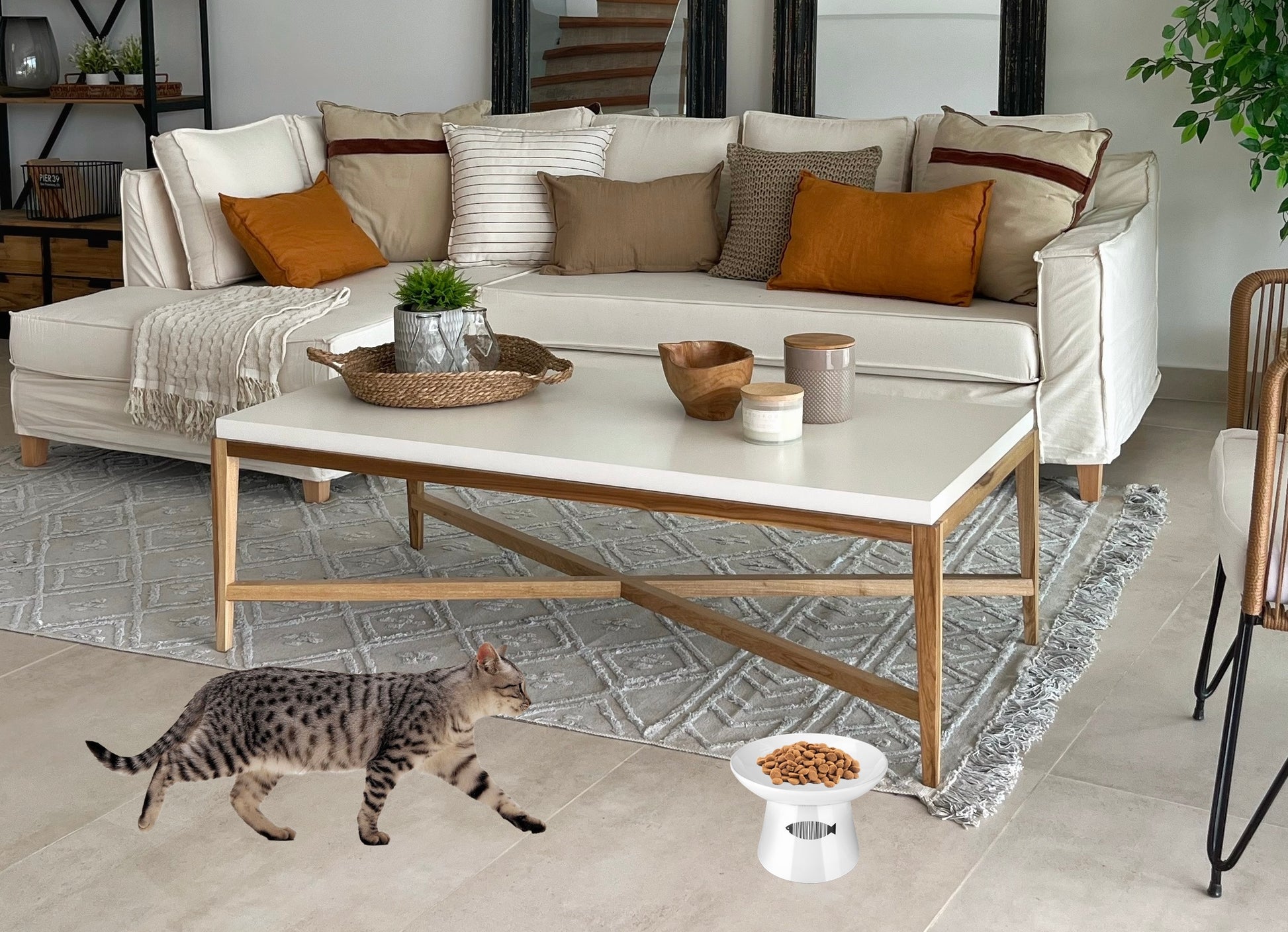 Raised Ceramic Cat Bowl – Non-Skid, Sturdy & Anti-Fall Design (White, 4.8x6.4in)