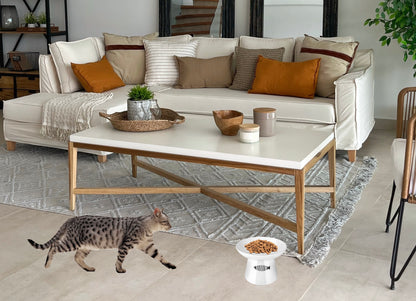 Raised Ceramic Cat Bowl – Non-Skid, Sturdy & Anti-Fall Design (White, 4.8x6.4in)