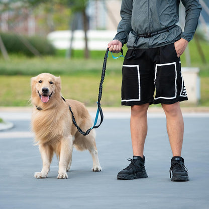 Hands-Free Dog Leash with Zipper Pouch, Padded Handles, and Bungee for Walking, Jogging & Running