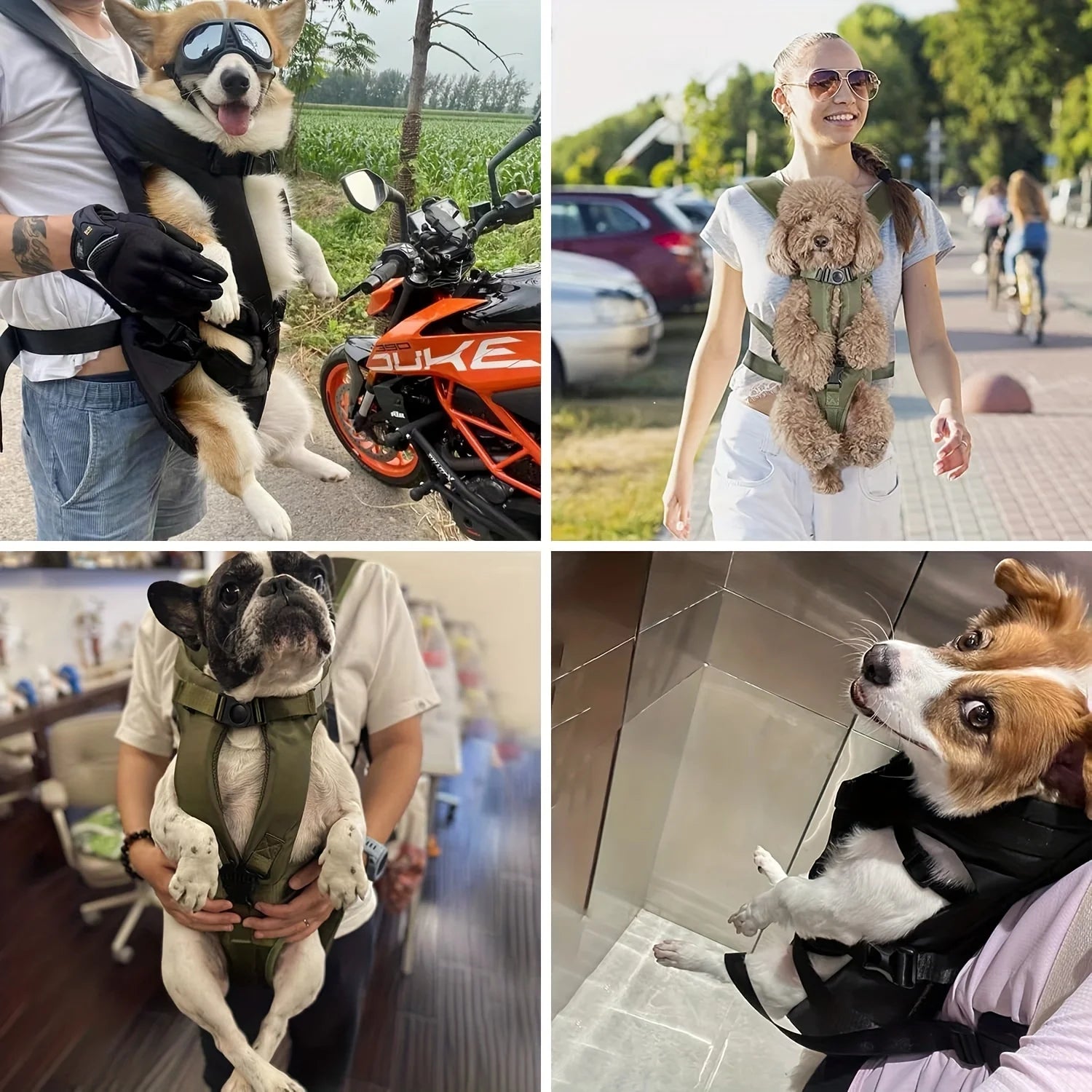 Hands-Free Dog Carrier Backpack for Small & Medium Pets, Adjustable Front & Back Carry