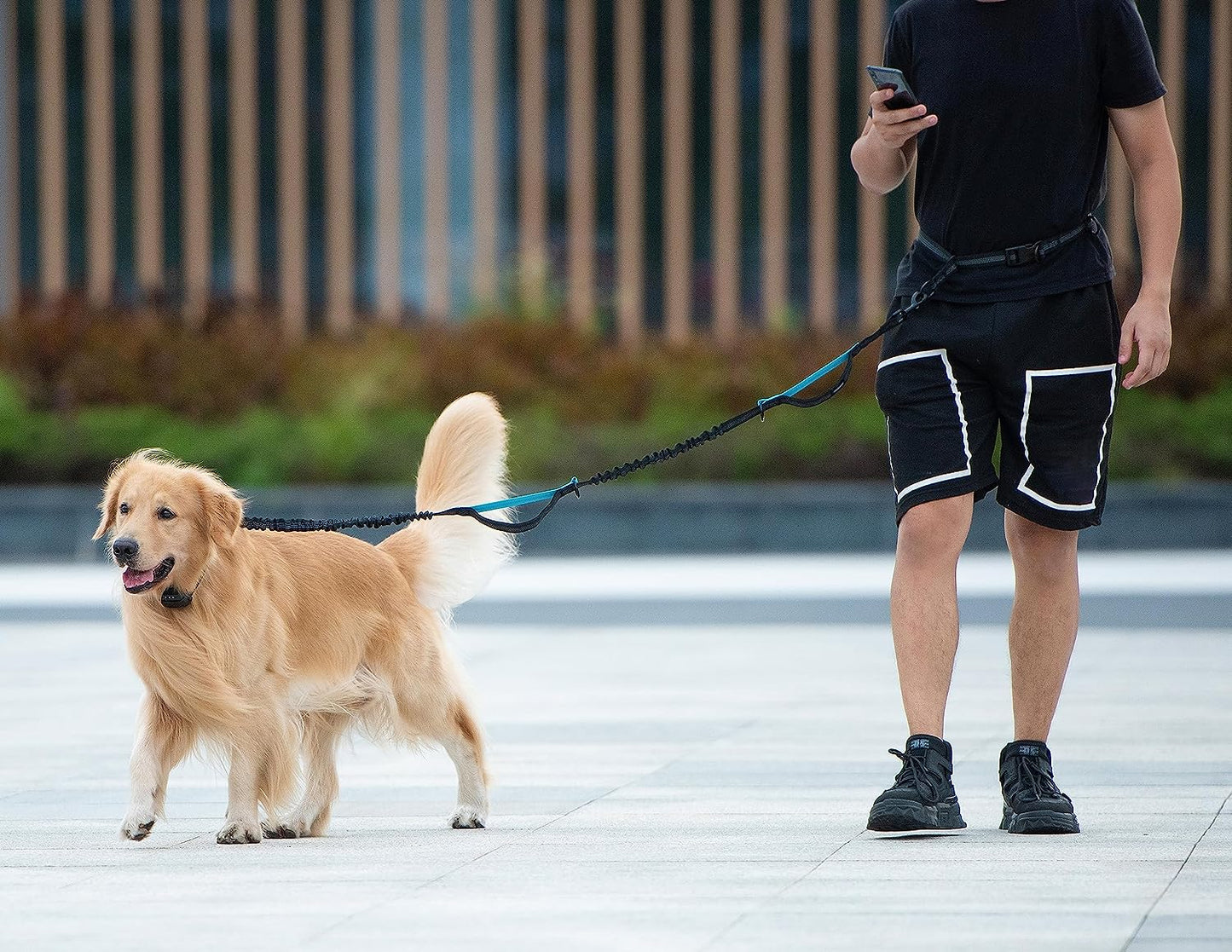 Hands-Free Dog Leash with Zipper Pouch, Padded Handles, and Bungee for Walking, Jogging & Running